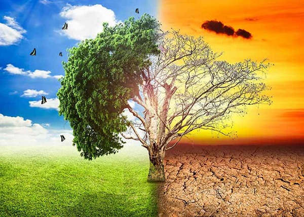 Thủng tầng Ozon gây biến đổi khí hậu trên Trái Đất